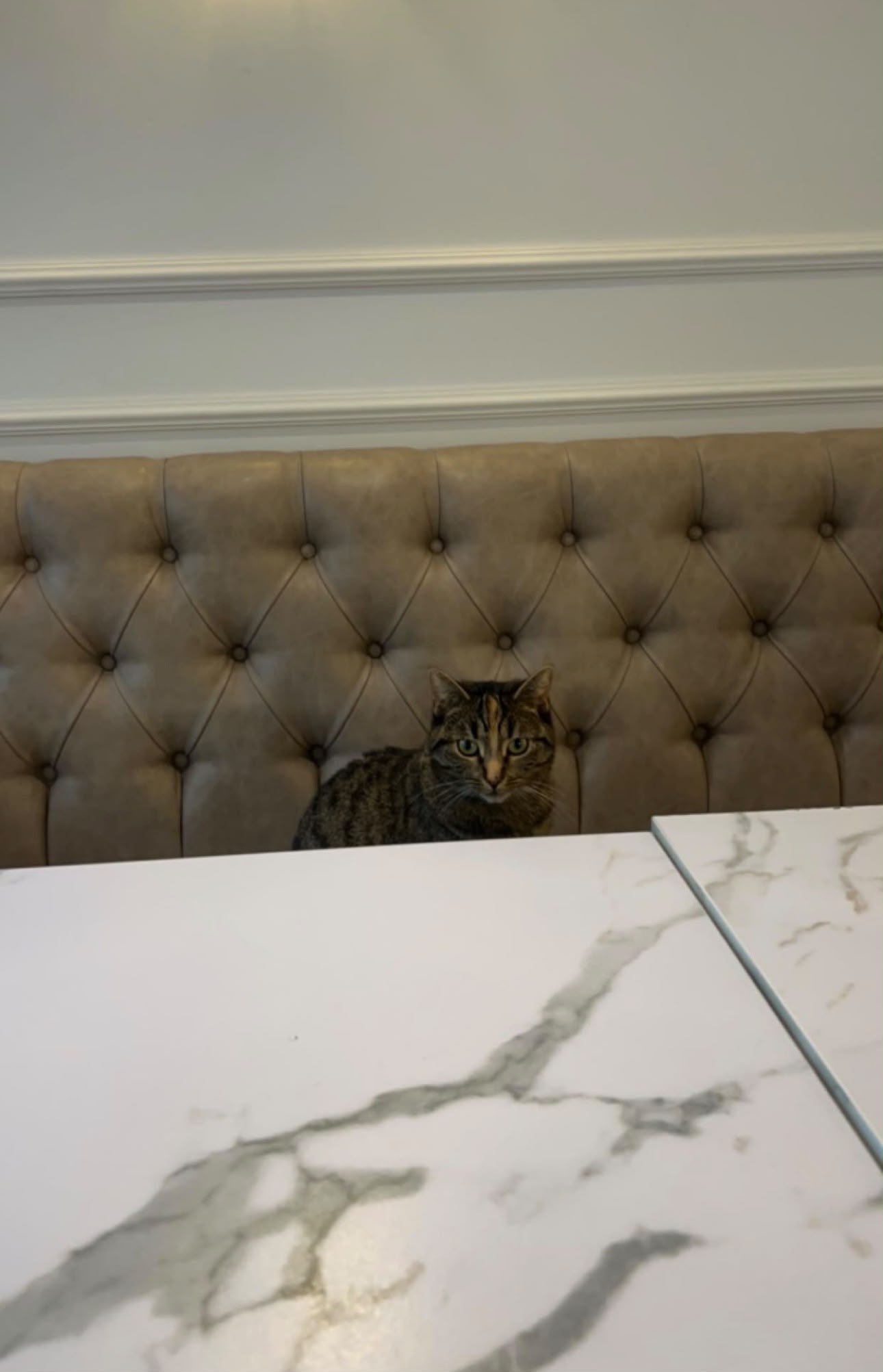 VELVET Lunchroom Utrecht — mocktail